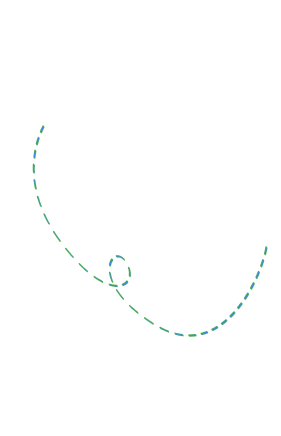 Long Arrow